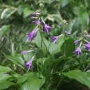 더 남산 이미지