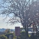 한보가든 이미지