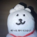커피 앤 아이스크림