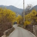 자드락길민박 이미지