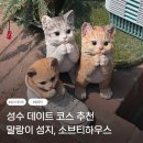 삼성물산성수스테이지35 | 성수 데이트 코스 추천, 말랑이 성지 '소브티하우스' 방문기