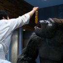 미스터고 이미지