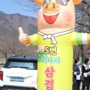 동물원풍선5번집 | 원동 미나리 삼겹살 5번집 내돈내산 후기