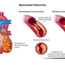 연세하트내과의원 이미지