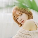 초아학원