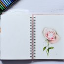 색연필 그림그리기 이미지