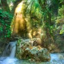 여포꾸이꾸이 이미지