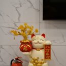 루고냥이
