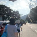 퍼니멍멍 다솜점 이미지