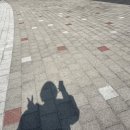 최신영화 스텔라 | #33. 좋아하는 걸 영원히 좋아하는 중