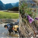 화인민박 이미지