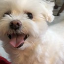 덕수꽃집 이미지