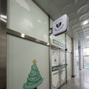 퍼피트리 이미지