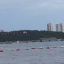 수다하우스 이미지