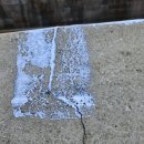 송이로32길 이미지