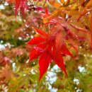 경희햇살한의원 이미지