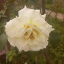 베말공원 이미지