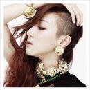 박을미용실 이미지