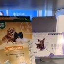 도토약국 이미지