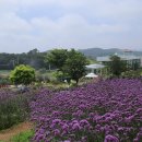 버들카페 이미지