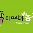 청홍농장 네이버블로그