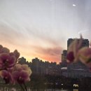 41190-01-07-296 | 잠실 부모님 식사 모임 추천 소고기 광화문갈비