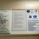 약손바른체형교정원