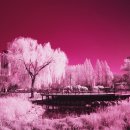 하얀나무 - 중구 큰장로26길 65 | 하얀나무