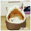 미요하우스 이미지