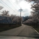 산촌옥관로 네이버블로그