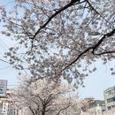 쌍둥이네 | 한성대입구 성북천 쌍둥이네 안창살 평일 후기