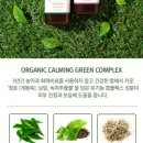 트루에코 네이버블로그