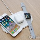 (주)애플바이오 이미지