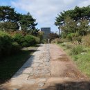 남산공원 이미지