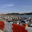 수산시장 | 강진 가볼만한곳 베스트 10 남미륵사 가우도 병영불고기거리 마량놀토수산시장 후기