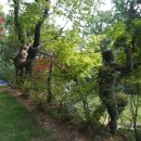 현대센타 이미지