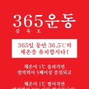 힐링수 바이오포톤 이미지