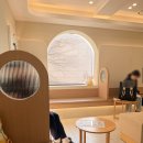 고양이눈 | 키다리 동물병원ㅣ고양이 안과 전문 병원 - 눈에 점, 흑색증, 흑색종 검사 후기