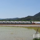 삼덕축산 이미지