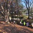 꼬마숲둥지어린이집 이미지