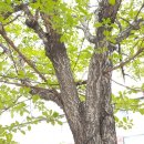 신성카세차장 이미지