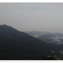 양명자연농장 이미지