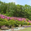 송우농장 이미지