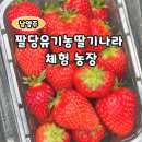 강변농장 | 남양주 팔당유기농딸기나라 체험농장 방문 후기