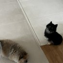 후추하우스 이미지