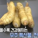 천마영농조합법인 이미지