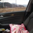 정미농장 이미지