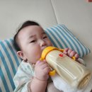 뽀송아이 이미지