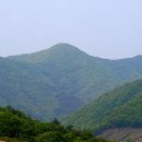 천년가요 이미지