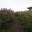 좋은아침 이미지